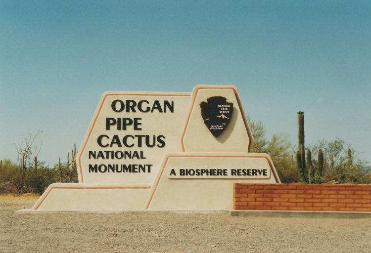 Organ Pipe NM